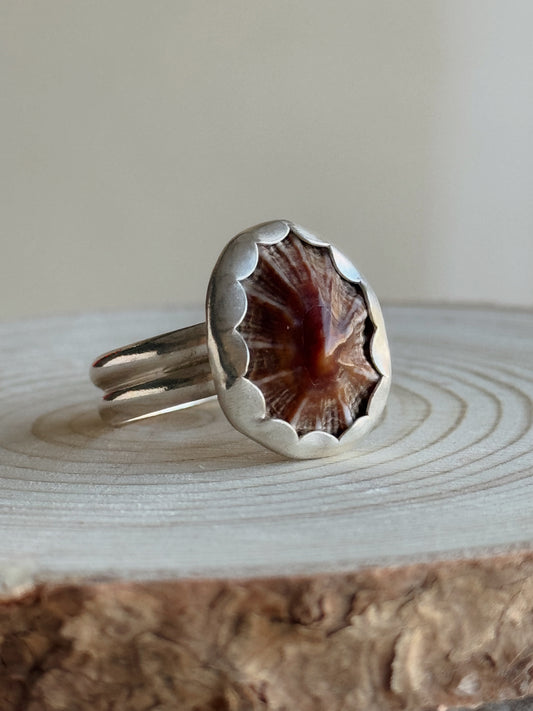 Opihi Shell Ring | | 8